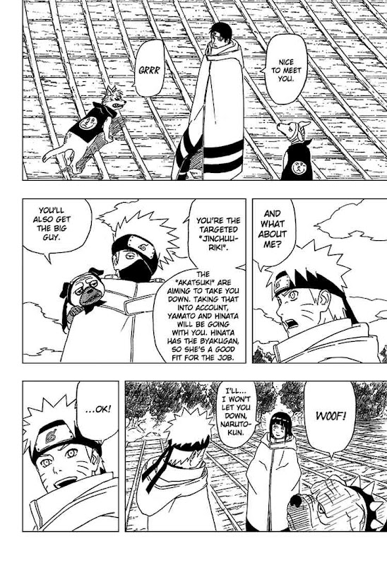 Naruto Shippuden Manga Chapter 355 - Image 04