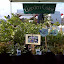 Marketday @ Garden Color