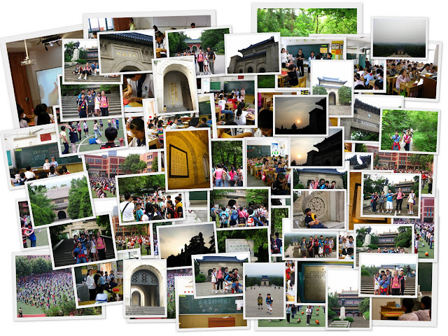 Picasa Photo Album Day 8