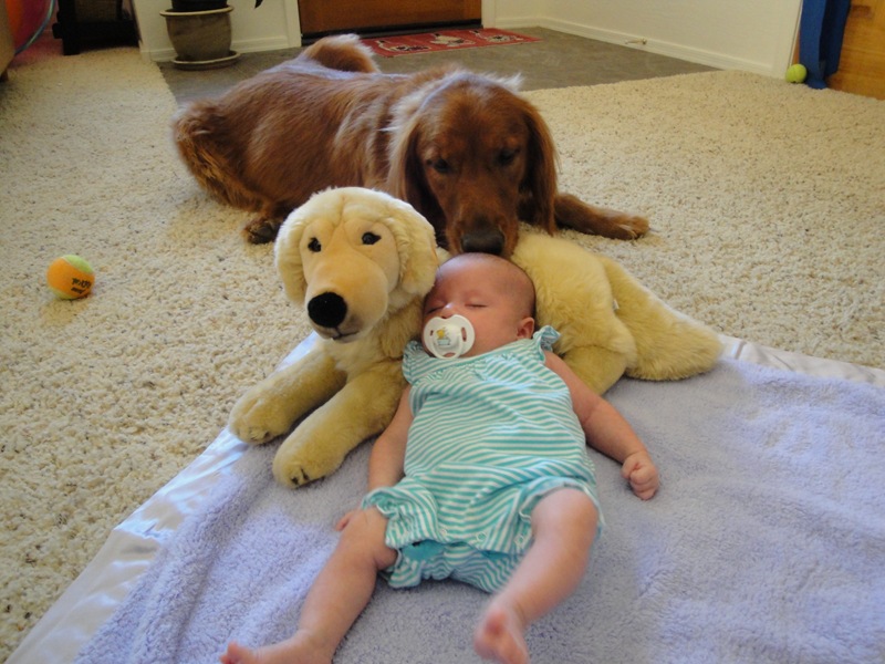 [DSC00662[2].jpg]
