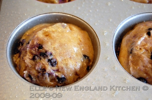 [browned-butter-blueberry-muffins[6].jpg]