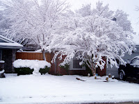 Ice Tree