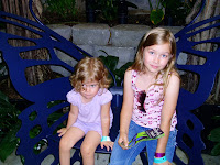 Buttefly Chair