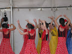 When I arrived there was a troupe of flamenco dancers performing on one of the stages. So cute and earnest! Glebe Street Fair.