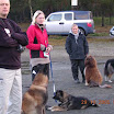 landskamp_2005_010.jpg