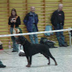 dsc01060.jpg