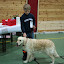 nhl_086.jpg