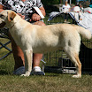 IMG_6311_.jpg