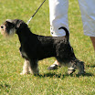 IMG_6369_.jpg