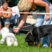 IMG_8133-1.jpg