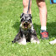 IMG_8134-1.jpg