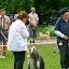IMG_8177-1.jpg