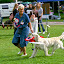 IMG_8255-1.jpg