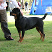 IMG_8685.JPG