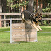 IMG_8756_.jpg