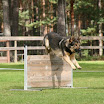 IMG_8756.JPG