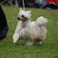 DSC_0086.JPG