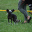 DSC_0178.JPG