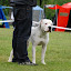 DSC_0313.JPG