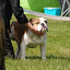 DSC_0459.JPG