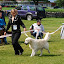 DSC_0557.JPG