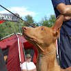 DSC_0021.JPG