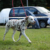 DSC_0034.JPG