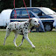 DSC_0034.JPG