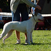 DSC_0415.JPG