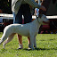 DSC_0415.JPG