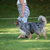 DSC_0418.JPG