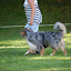 DSC_0418.JPG