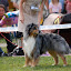 DSC_0786.JPG