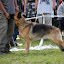 DSC_0789.JPG