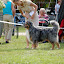 DSC_0799.JPG