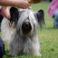 DSC_0909.JPG