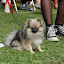 DSC_0924.JPG