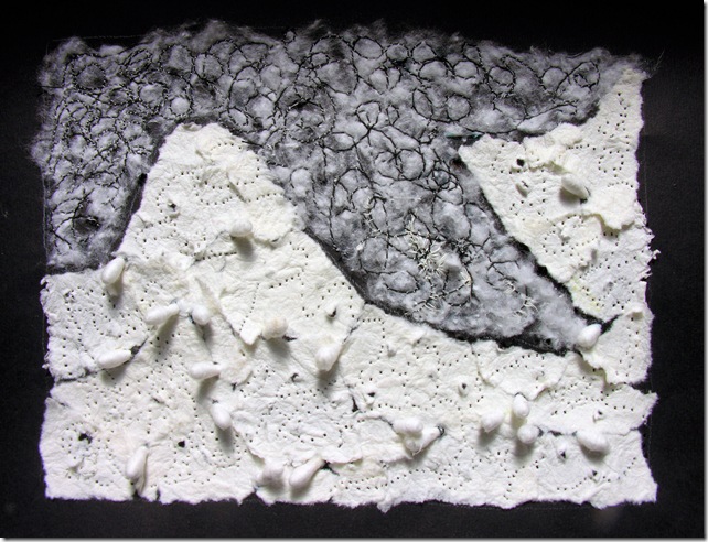 Sample SIX diurno Sample SIX diurno