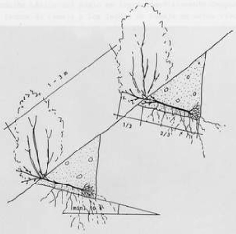 clip_image012 clip_image012