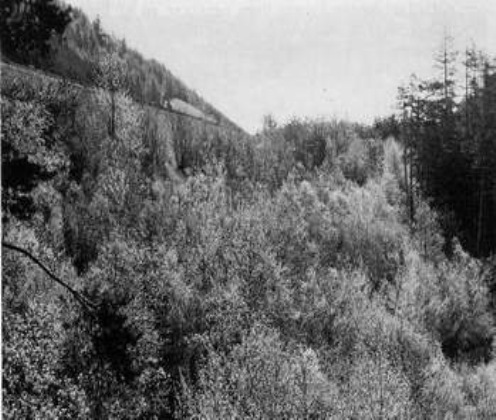 clip_image025 clip_image025