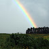 Fotografías de Arco Iris desde distintos lugares del mundo