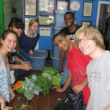 Green Team 09
