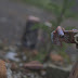 hw41.jpg