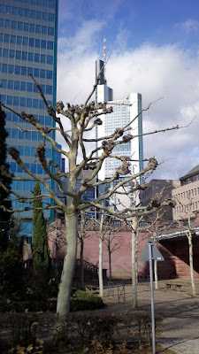 27022010235.JPG