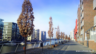 10032010408.JPG