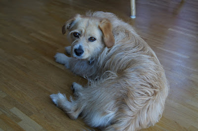 DSC00006.JPG
