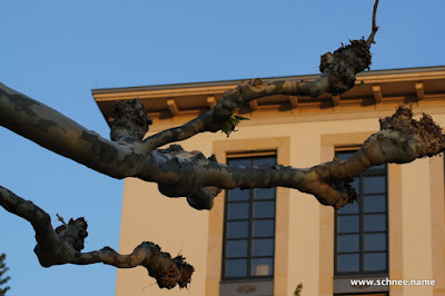 DSC01031-1.JPG