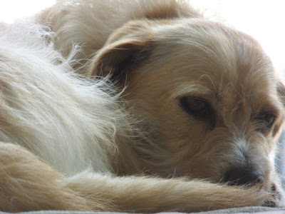 2009.11.20
