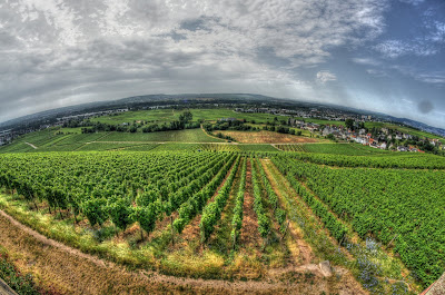 DSC08408_09_10_tonemapped.jpg