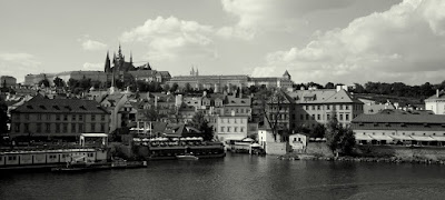 DSC02317.JPG